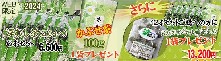 2024深むし茶+かぶせ茶100gプレゼント